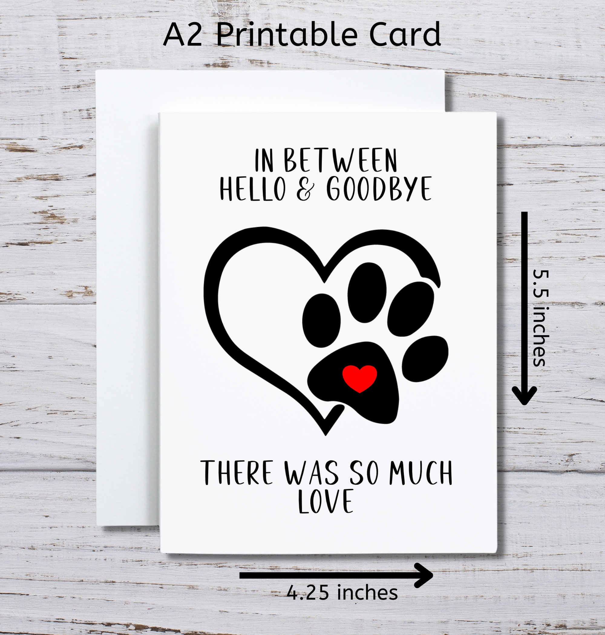 Amazon.com : Geyoga 36 Sets Pet Sympathy Cards for Dogs Cats