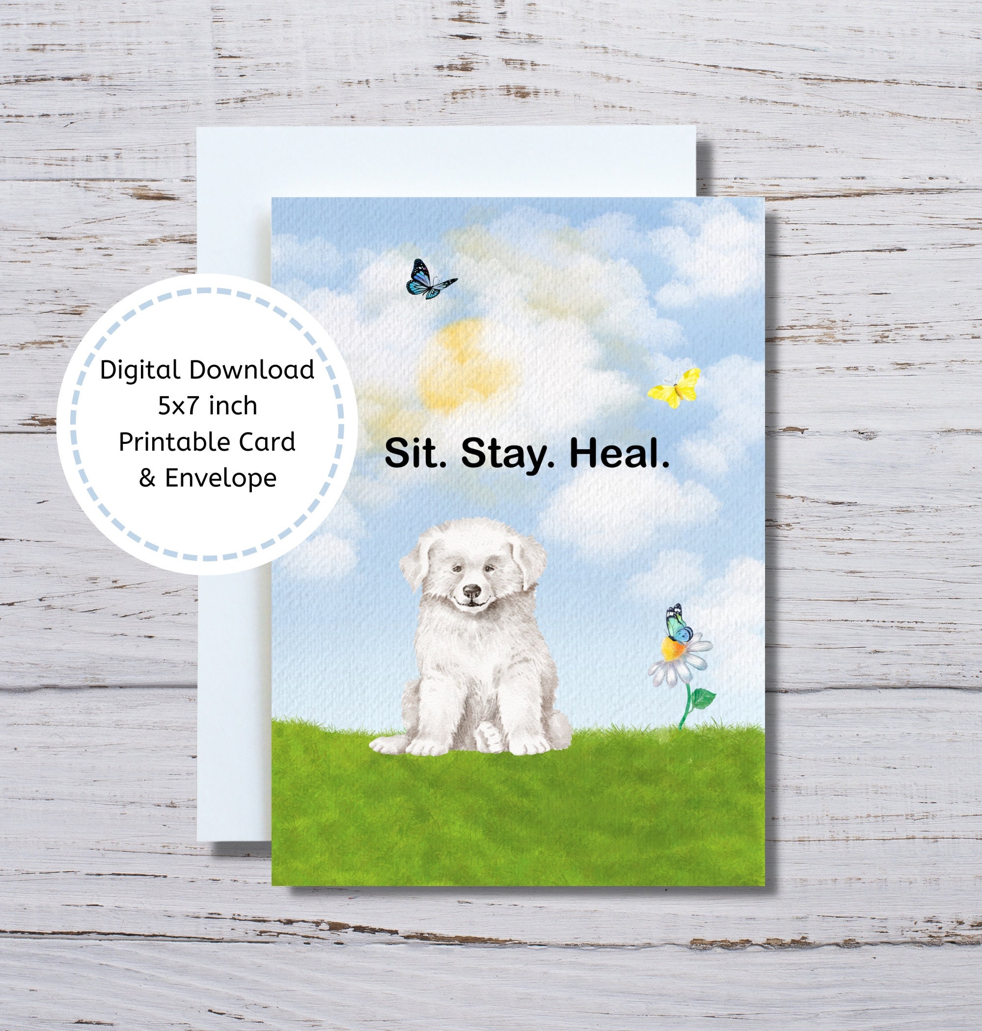 Funny Dog Get Well Card - St. Stay. Heal. - Etsy - View #2
