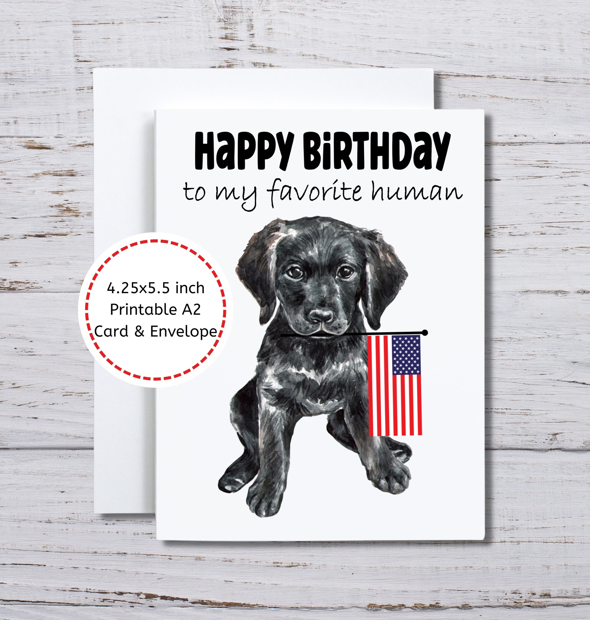 Old English Co. Hund Geburtstagskarte 'Sorry My Fur Is On Everything' – Blanko Innen, 15x15 Cm