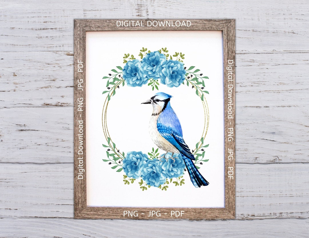 Blue Jay Printable, Blue Jay Print, Blue Jay Decor, Blue Jay Bird Wall