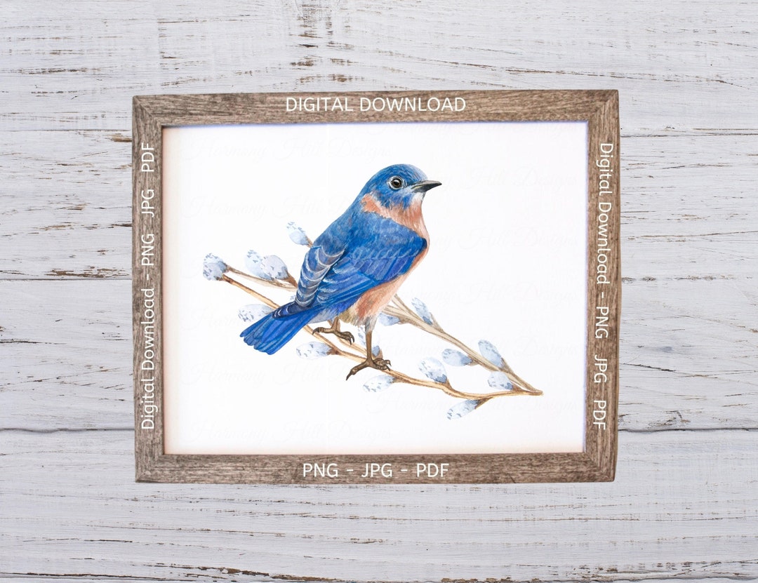 Bluebird Print, Bluebird PNG, Bluebird Printable Wall Art, Bluebird