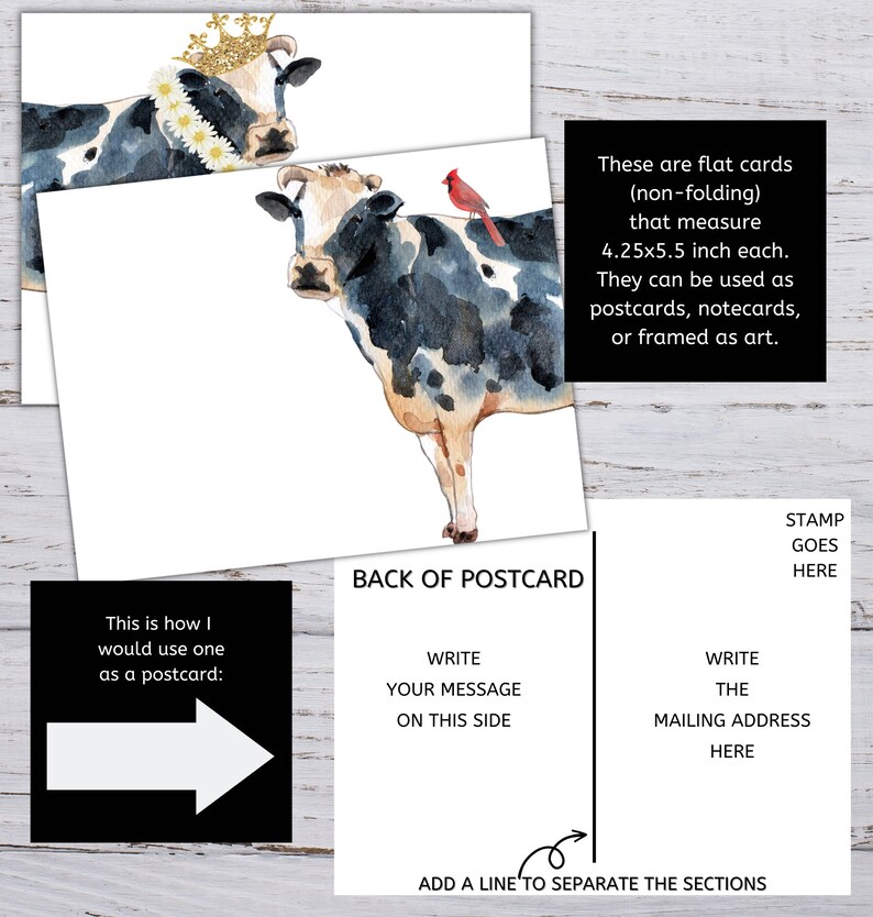Cow Notecards, Printable Postcards, Cow Greeting Card, Blank Cow Cards ...