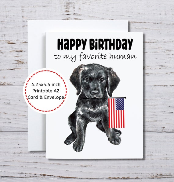 Stuff4 Biglietti di compleanno con cane uomini e donne con scritta in lingua inglese Paw-ty Time biglietto di auguri mamma papà sorella fratello figlia zio zia nonna nonno collega