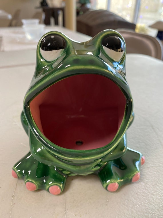 Frog Scrubby Holder, Vintage 