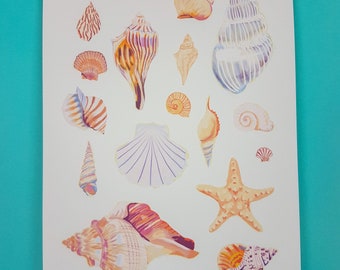 Shells Illustration Print (A5/A4) nature illustration, bold print, wildlife, holiday, seaside, kids room, nursery, home, wall art