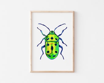 Green Jewel beetle illustration art print, A4, A5, hand drawn, hand made, wall art, kitchen home decor, minimal illustration, gift