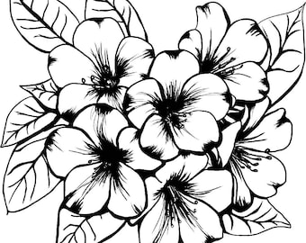 Hawaiian Rhododendron SVG PNG File Laser etch bestand cut bestand