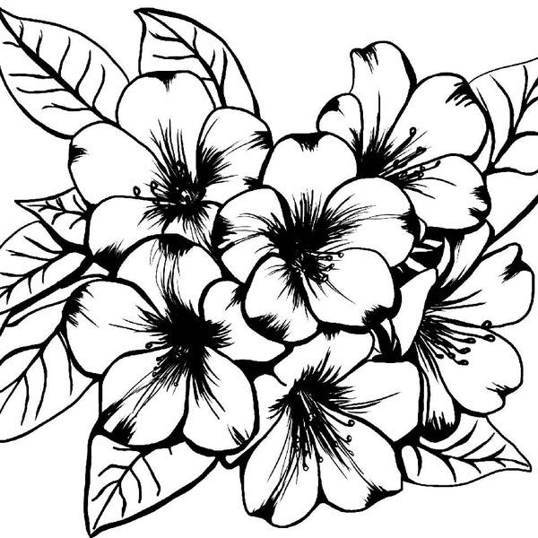 Hawaiian Rhododendron SVG PNG File Laser etch file cut file