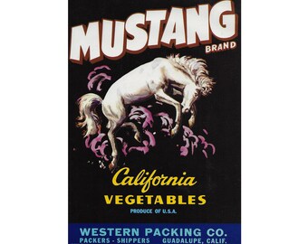 Mustang Gemüse Kiste Label - Original