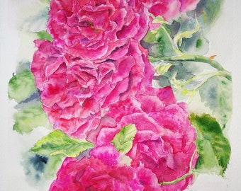 watercolor roses