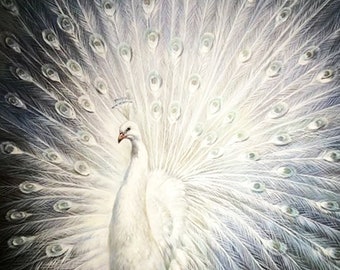 White Peacock Painting Etsy