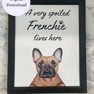 May include: A black framed print with a white background and the text "A very spoiled Frenchie lives here" in black. A cartoon illustration of a brown French bulldog is in the bottom centre of the print.