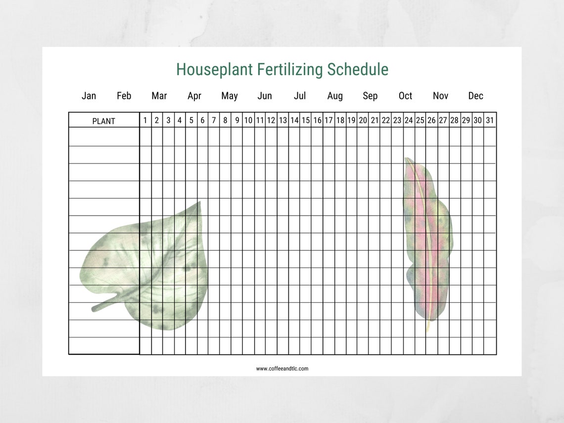 Watering and Fertilizing Schedule for plant lovers to keep Etsy