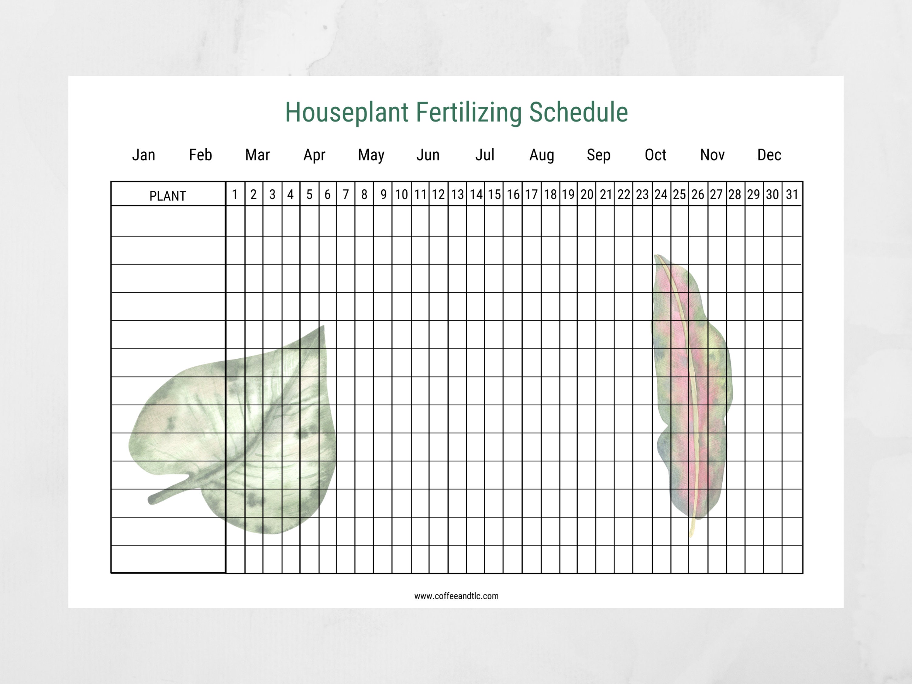 Watering and Fertilizing Schedule for plant lovers to keep Etsy