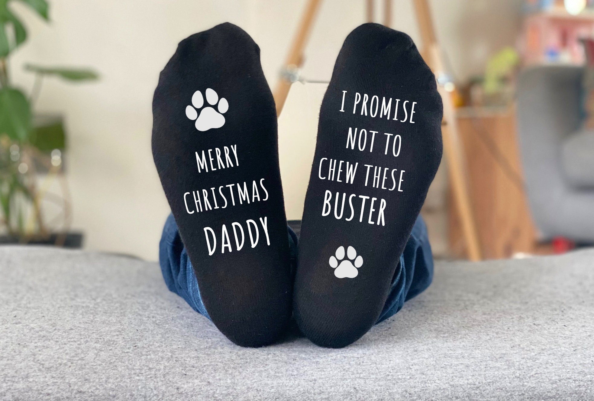 Can Dogs Chew On Socks