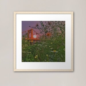 Framed Art Print / Sun. Bridge. Daisies. Pittsburgh / 17 x 16 inch