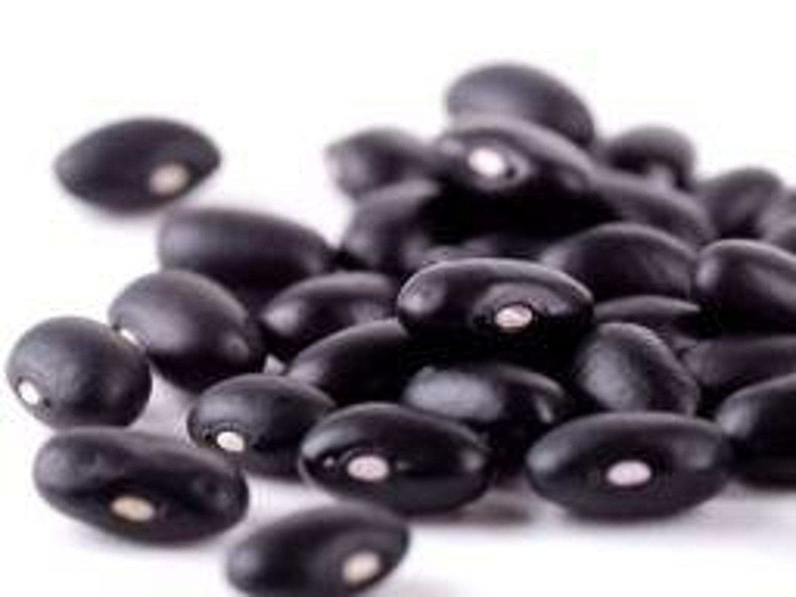 60 paquets de graines de haricots noirs 349 sont ouverts Etsy