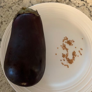 Eggplant - 75 seeds Packet 3.99 - Non-GMO &Free from Genetic Engineering