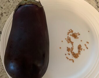 Aubergine - 75 graines Paquet 3.99 - Non-OGM &free from Genetic Engineering