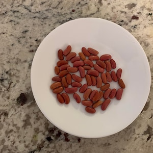 Red Beans  -  60 Seed Packet 3.49 - Non-GMO & Free from Genetic Engineering