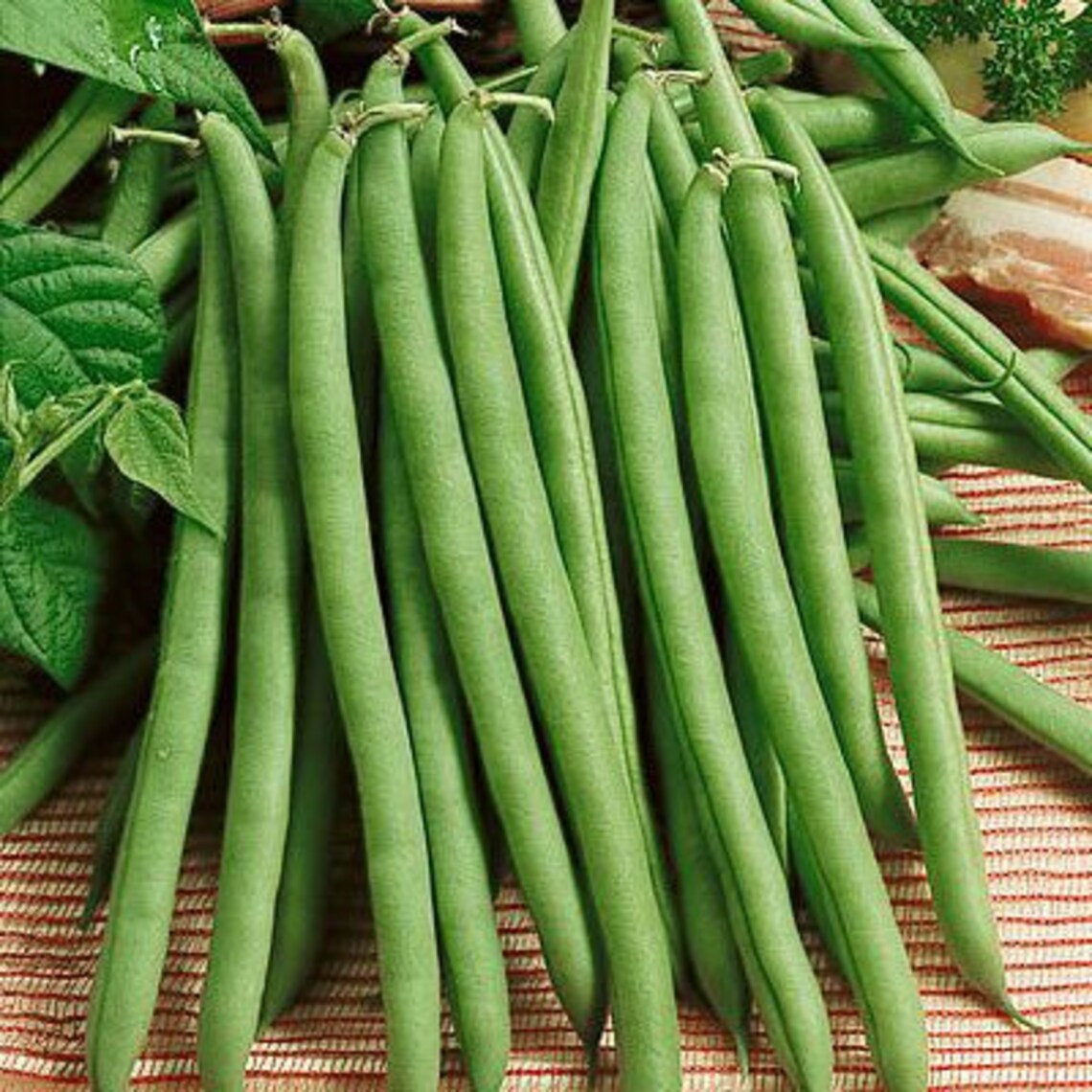 50 paquets de graines de haricots verts 299 sont ouverts Etsy France