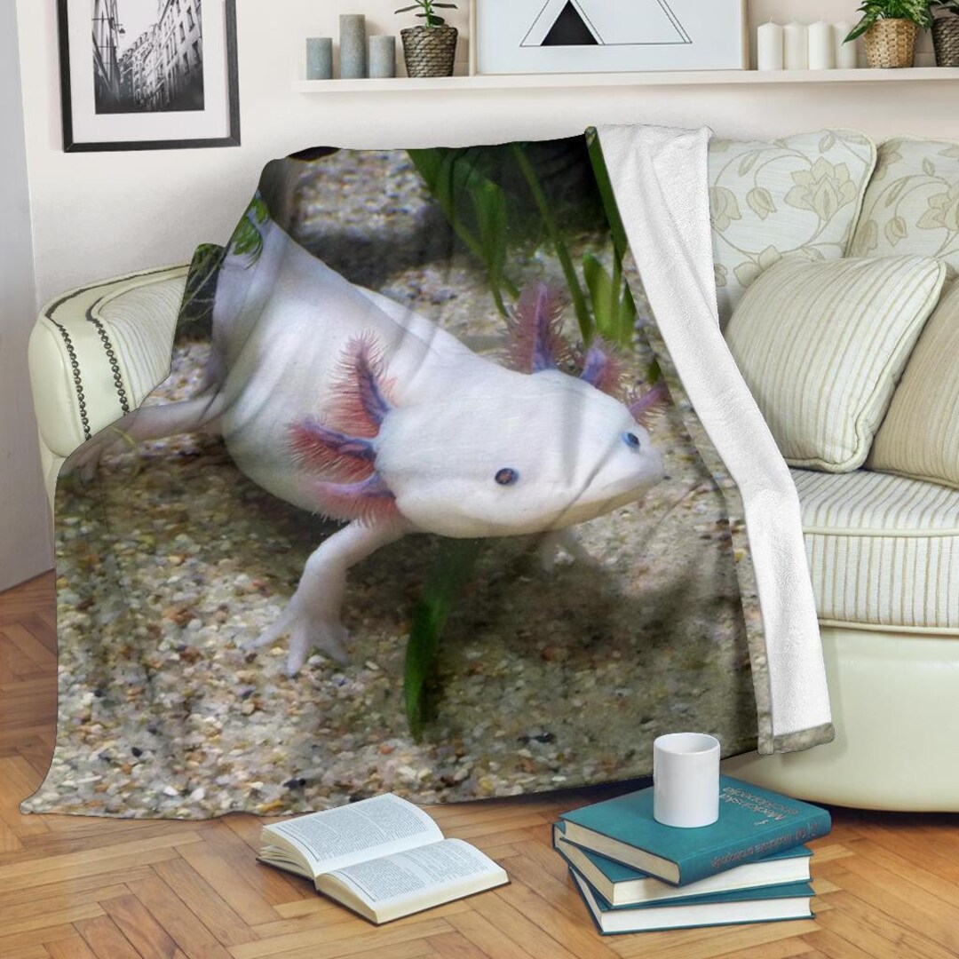 Mexican fish blanket hotsell