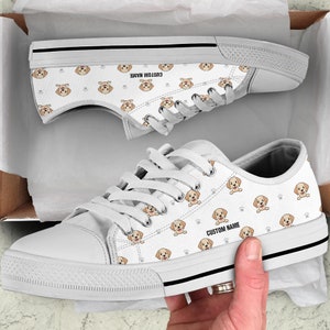Labrador shoes online 2025