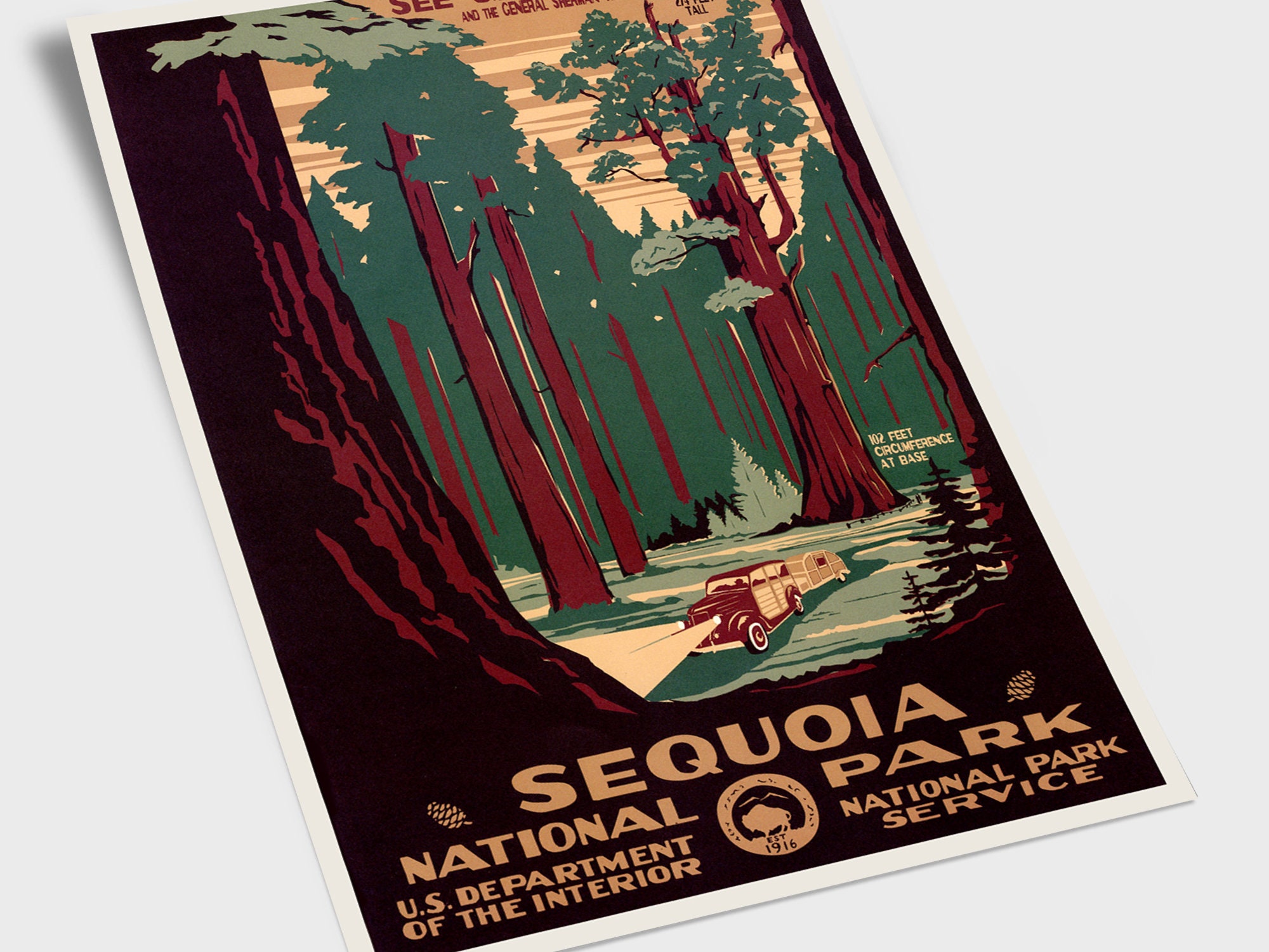 Discover Sequoia National Park 1940 Travel Vintage Poster