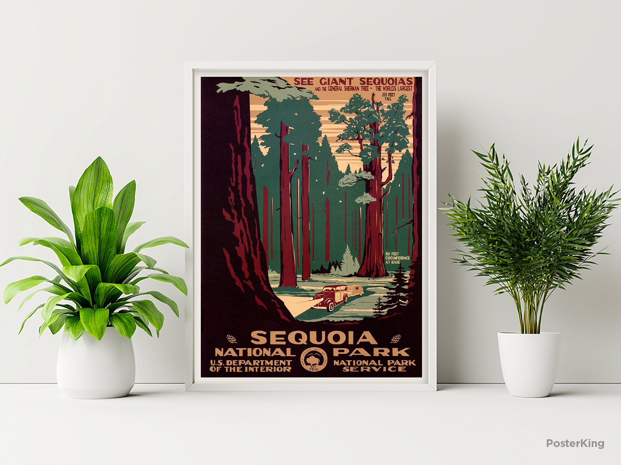 Discover Sequoia National Park 1940 Travel Vintage Poster