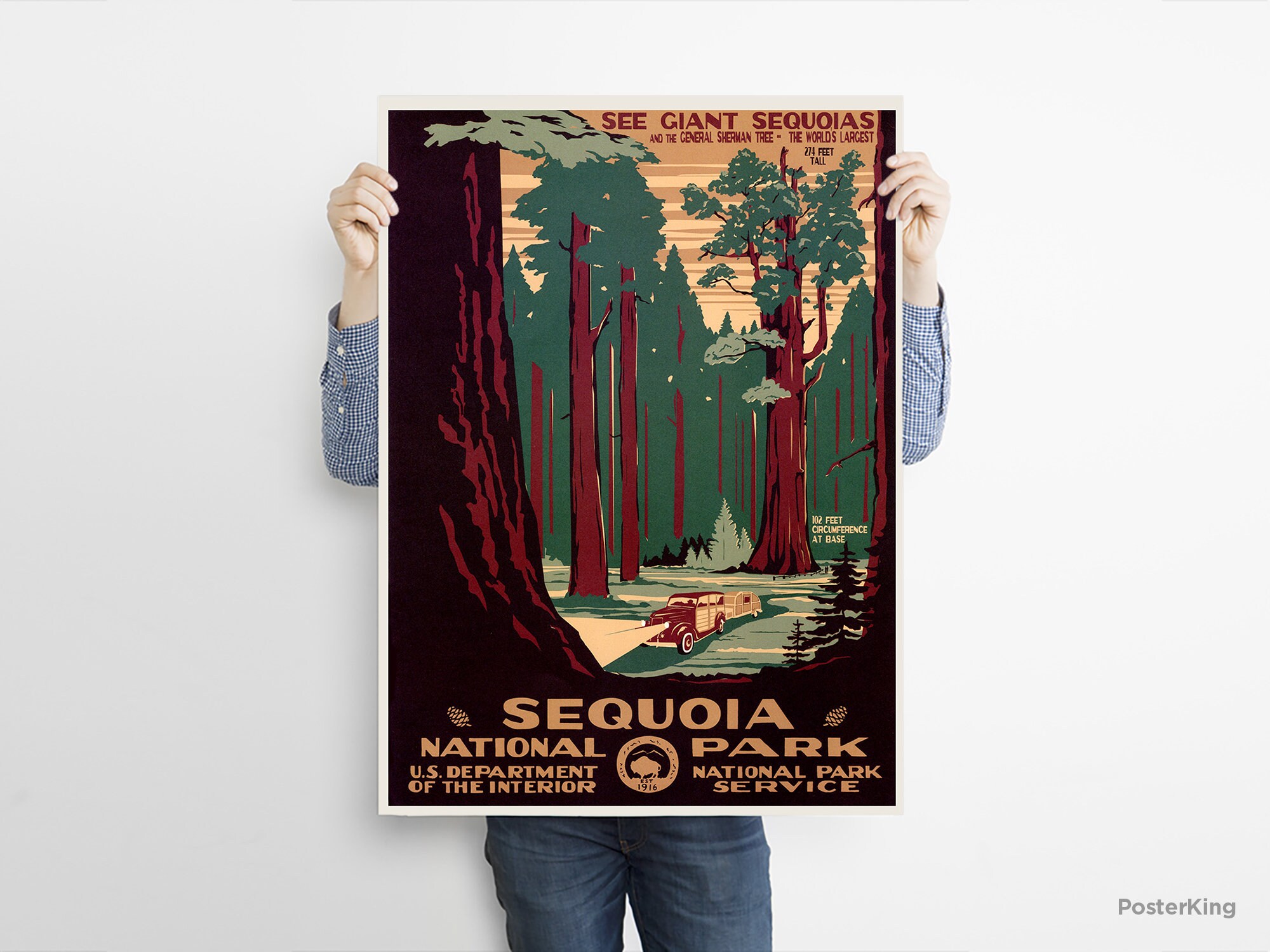 Discover Sequoia National Park 1940 Travel Vintage Poster