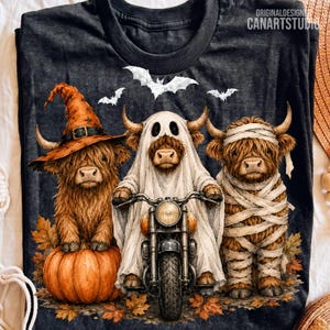Può includere: Una t-shirt grigio scuro con la grafica di tre mucche Highland. Una indossa un cappello da strega arancione su una zucca, una è un fantasma su una moto e una è avvolta come una mummia. Pipistrelli bianchi e foglie autunnali completano il disegno.