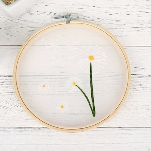 Embroidery Kit For Beginner, Transparent hand Embroidery Kit, Modern Flowers Embroidery Full Kit with Needlepoint Hoop, DIY Craft Kit