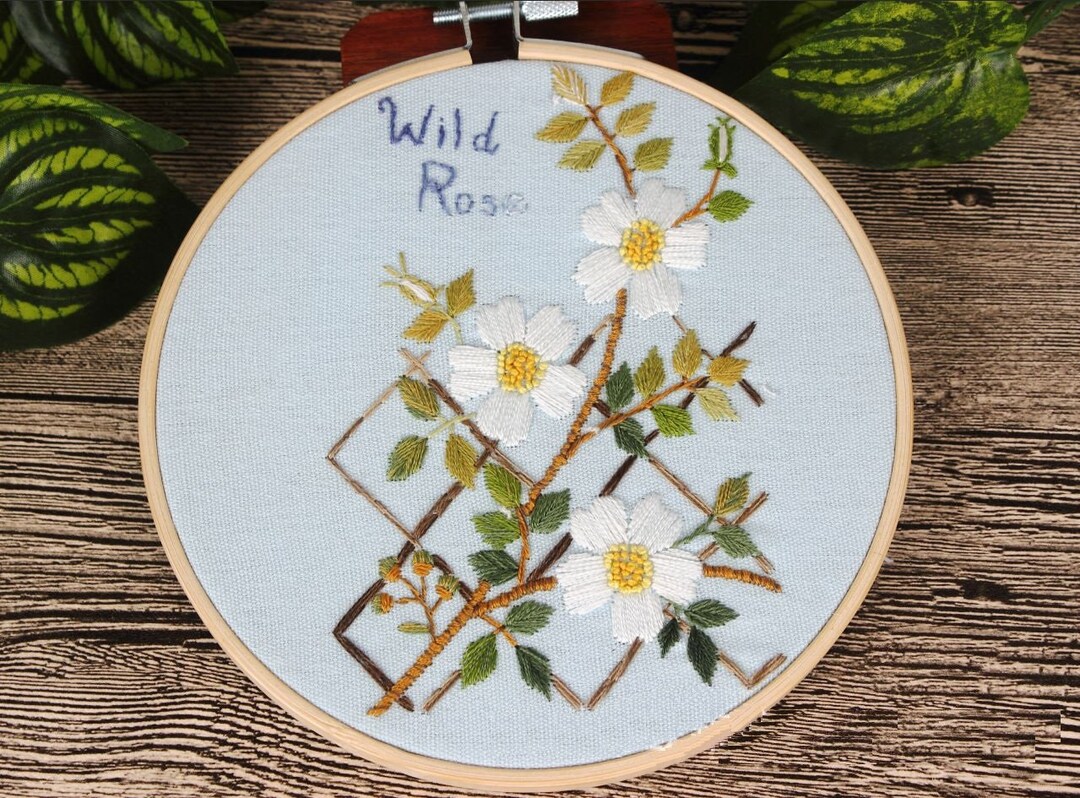 Floral Embroidery Kit for Beginner,wild Rose Embroidery Kit Starter, Embroidery Kit Modern