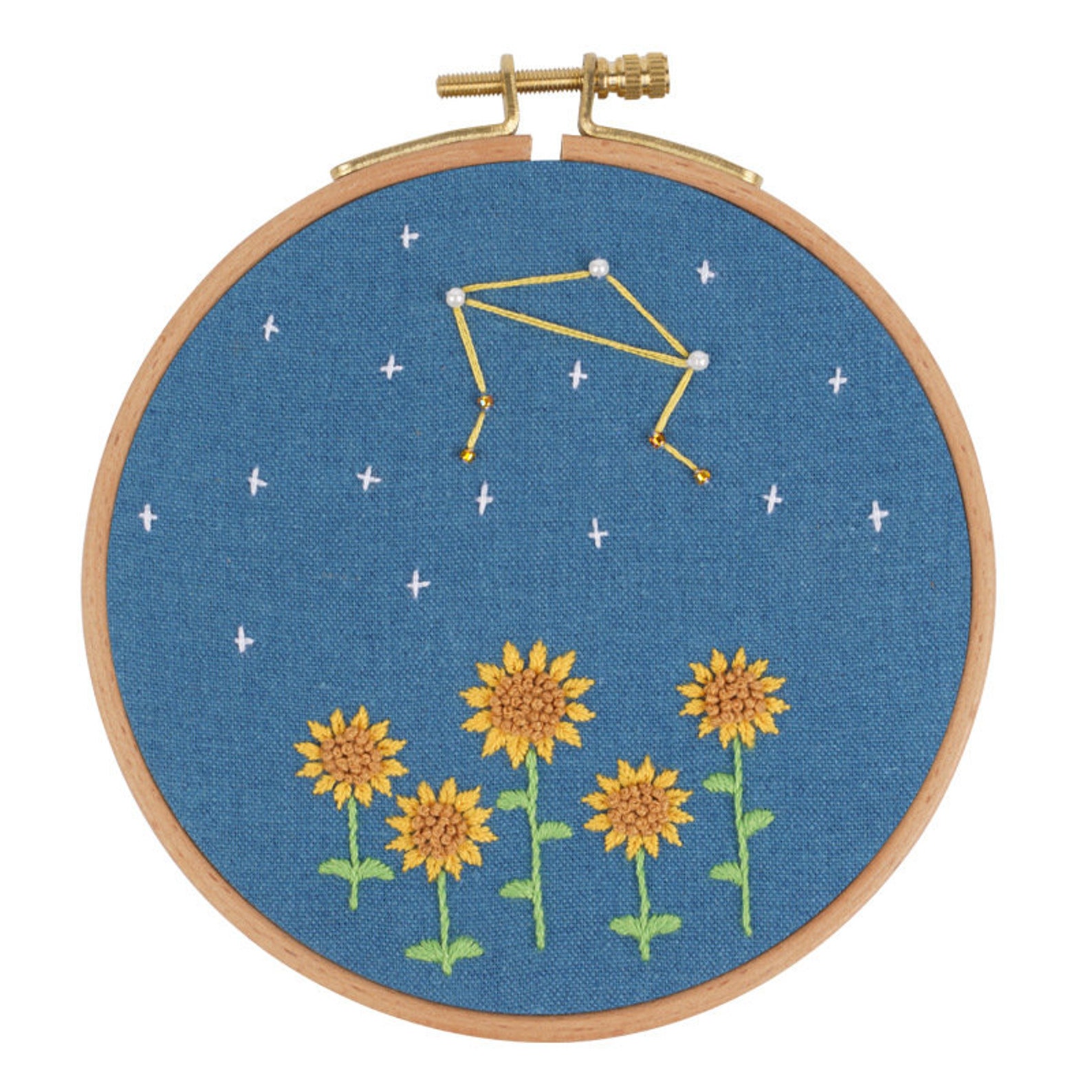 12 Horoscopes Zodiac Embroidery Kit For Beginner Modern Etsy