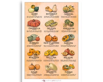 Hand-drawn Poster - Squashes