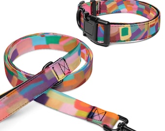 Pet collar & leash