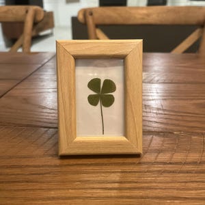 Sierra Magazine Featured Shop*** 4 leaf clover picture frame