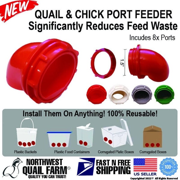 QUAIL FEEDERS Ports Coturnix Chicken Feeders No Waste Saves Feed For DIY Bucket Pail Bin Container 8 Ports Free Shipping