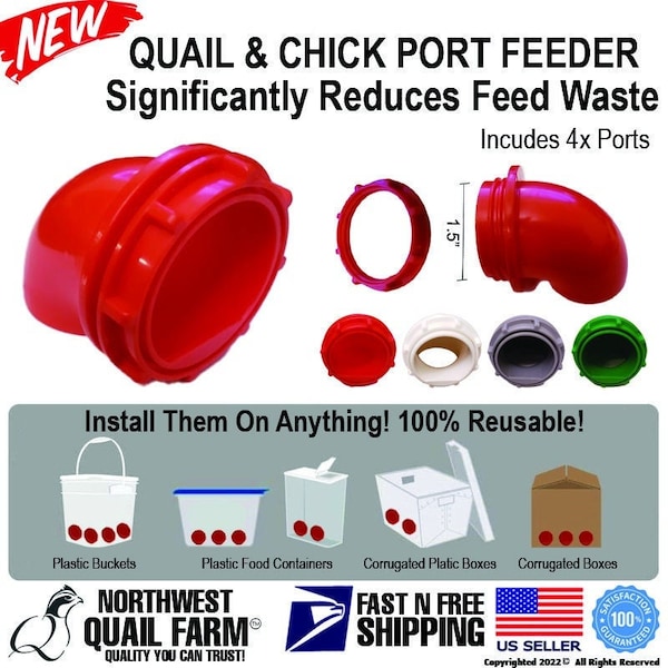 QUAIL FEEDERS Ports Coturnix Chicken Feeders No Waste Saves Feed For DIY Bucket Pail Bin Container 4 Ports Free Shipping