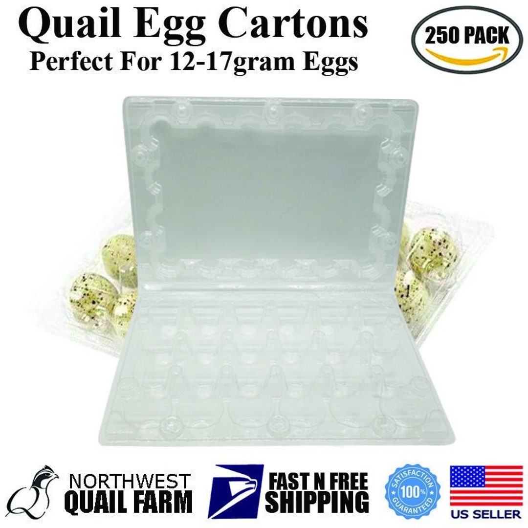 250 JUMBO Quail Egg Cartons Holds 24 Eggs Secure Snap Close Etsy