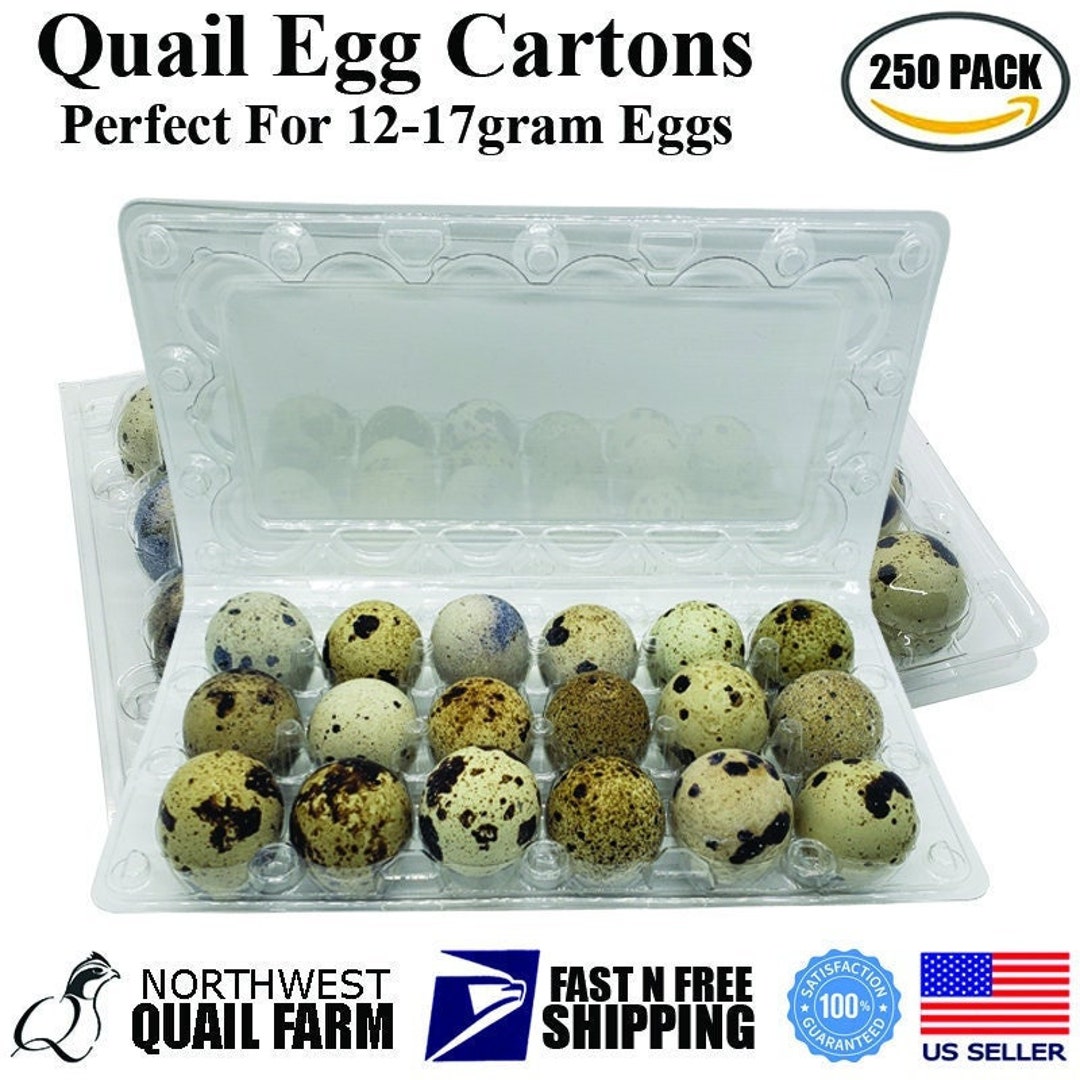 250 JUMBO Quail Egg Cartons, Holds 18 Eggs, Secure Snap Close, Fast N