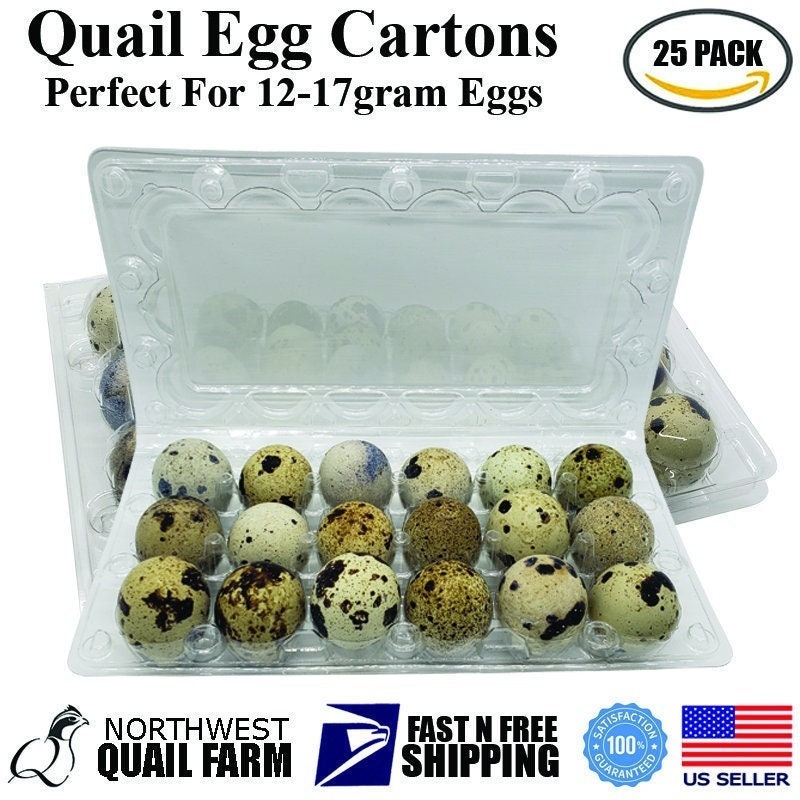 Quail Egg Scissors Stainless Steel FAST N FREE SHIPPING 