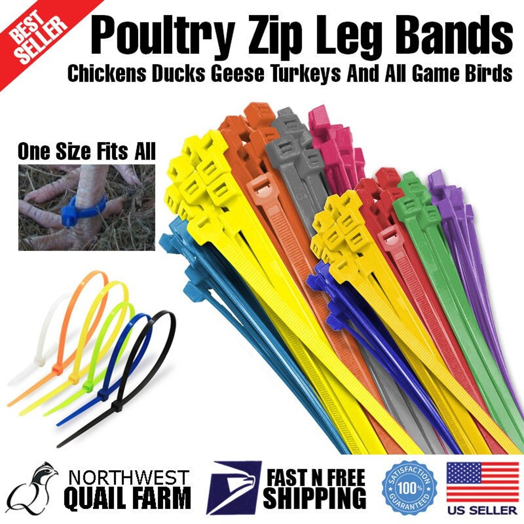 Zip Leg Bands Multi Colors One Size Fits All Poultry Chickens Ducks