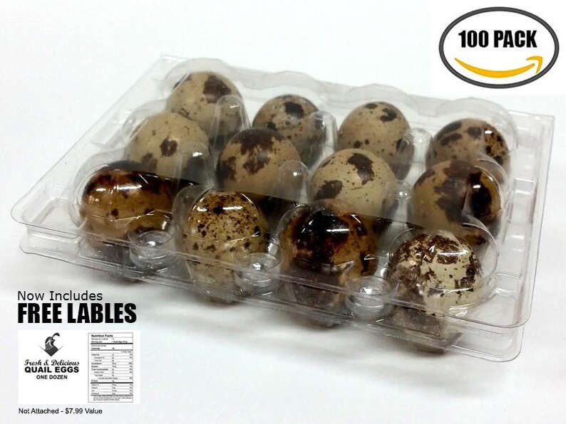 100 JUMBO Quail Egg Cartons Holds 12 Eggs Secure Snap Close Etsy