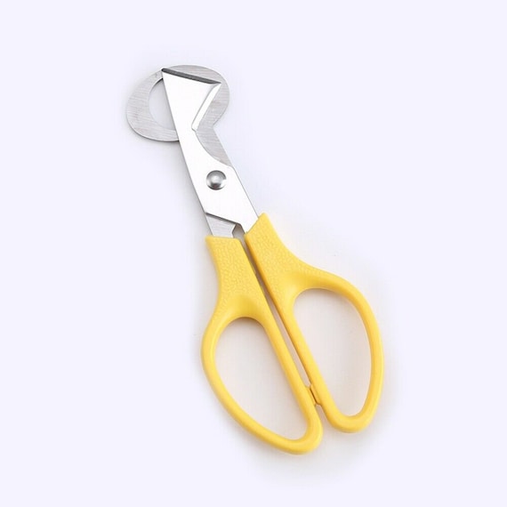 Quail Eggs Scissors, Egg Shell Cutting Scissors, Quail Egg Shell Cutter, Quail  Egg Shell Cutter, Stainless Steel Egg Shell Opener For Home, Kitchen, R