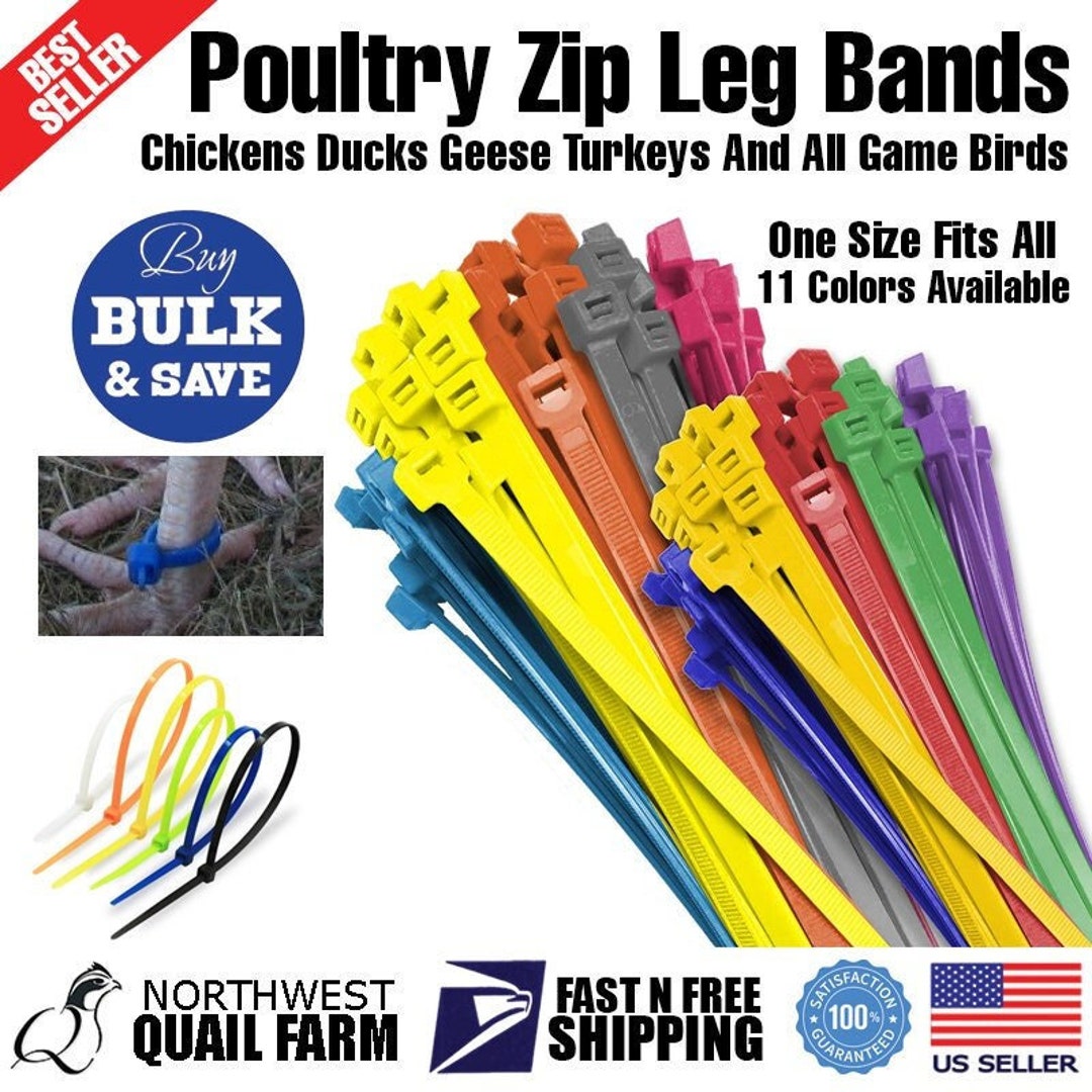 250 Zip Leg Bands Multi Colors One Size Fits All Poultry Chickens Ducks Geese Turkeys and All
