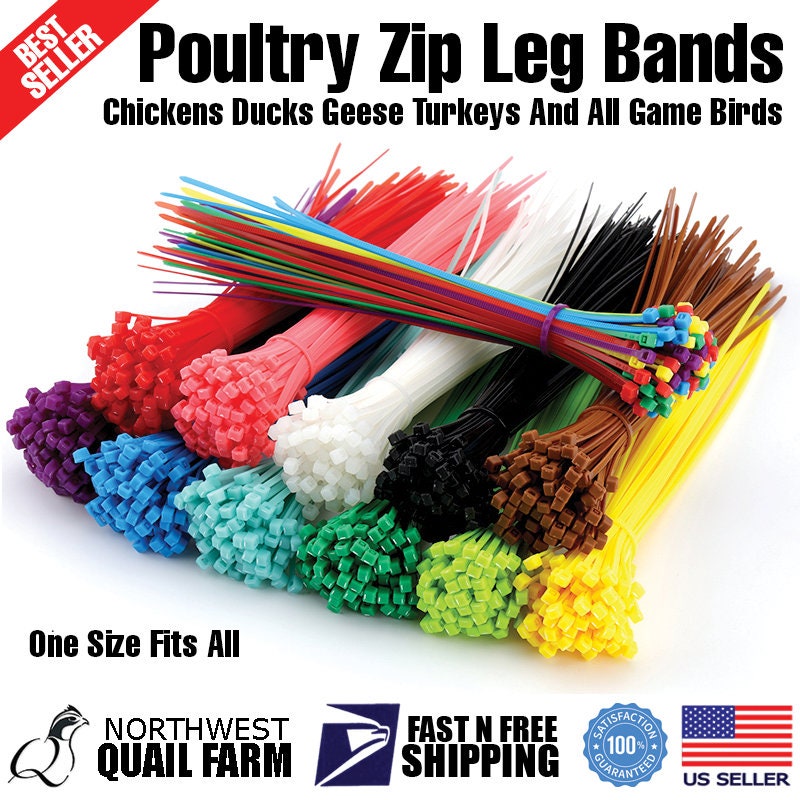 Zip Leg Bands Multi Colors One Size Fits All Poultry Chickens Etsy