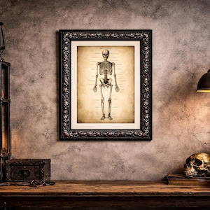 Puede incluir: Un grabado enmarcado de un esqueleto anat&oacute;mico. El marco negro tiene un dise&ntilde;o decorativo de calaveras. La impresi&oacute;n est&aacute; sobre papel envejecido y muestra una ilustraci&oacute;n detallada del sistema esquel&eacute;tico humano. La imagen se muestra en una habitaci&oacute;n con decoraci&oacute;n antigua.