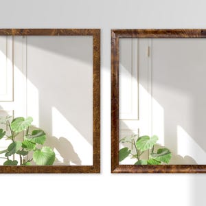 May include: Two brown wood picture frames with a white background and a green plant in the bottom corner of each frame.