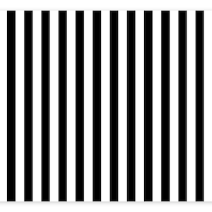May include: A rectangular item with rounded corners features a bold black and white striped pattern. The stripes are vertical and evenly spaced, creating a high-contrast design. The item's surface is smooth and the overall aesthetic is modern and graphic.
